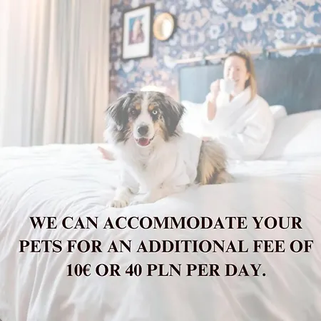 Cozy With Gym In The Center Апартаменты